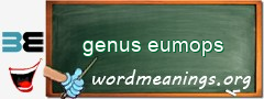 WordMeaning blackboard for genus eumops